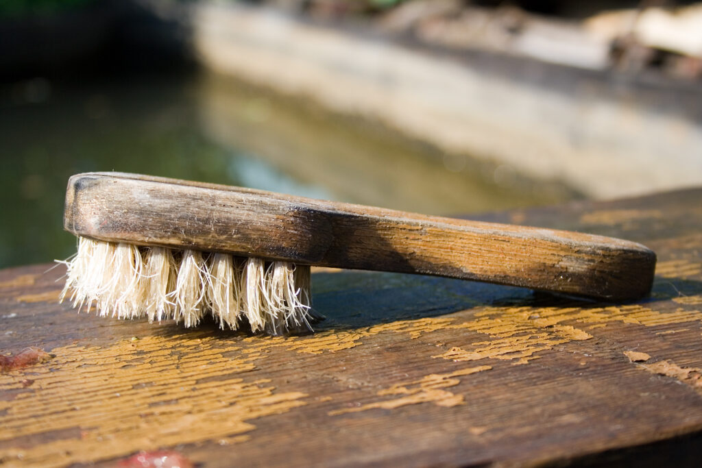 Cleaning Services