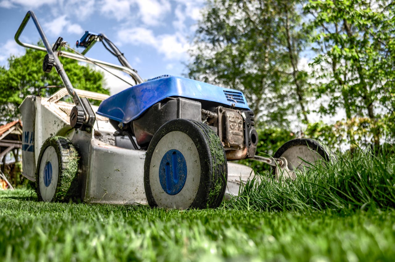 Smart Lawn Care Tips for Weed-Free Green Lawns