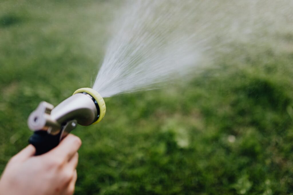 weed control in Winnipeg 